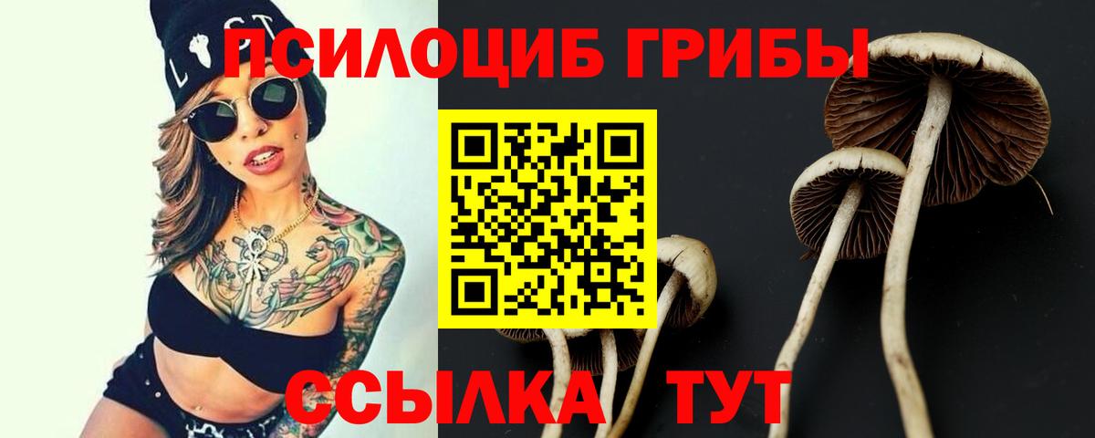 Славянск-на-Кубани  Псилоцибиновые грибы ЛСД  Галлюциногенные грибы MAGIC MUSHROOMS  Вход с VPN 